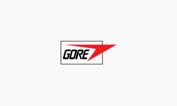 GORE COMPLETES ENROLLMENT IN THE GORE® VIABAHN® VBX BALLOON EXPANDABLE ENDOPROSTHESIS EXPAND REGISTRY